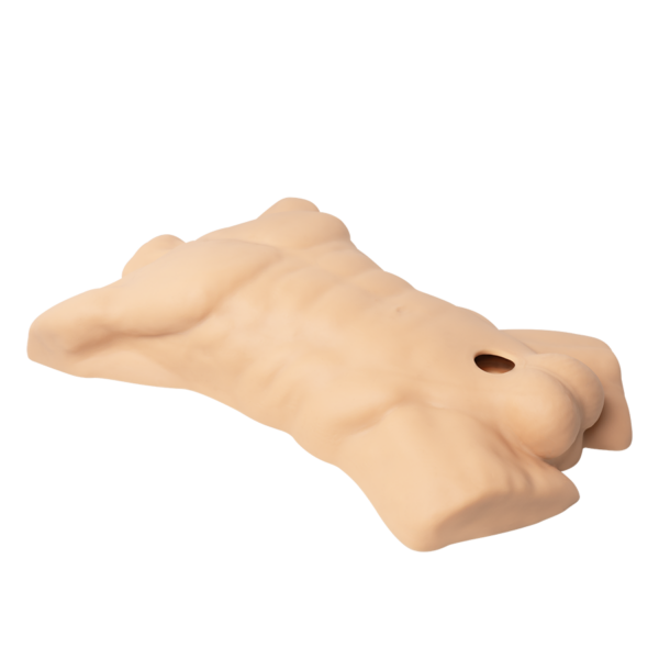 Torso Erótico Intercambiable