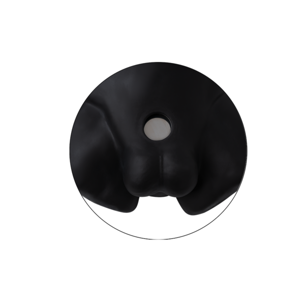 Torso Realista Dildo Intercambiable