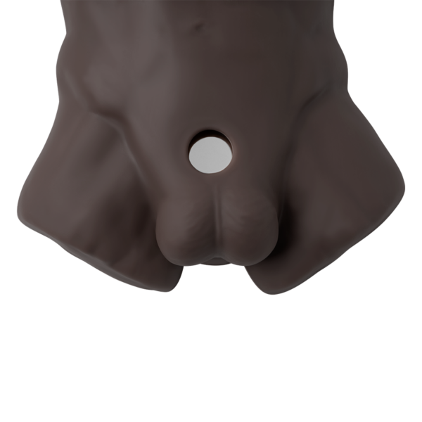 Torso Masculino Realista Con Dildo Intercambiable Silicona Premium