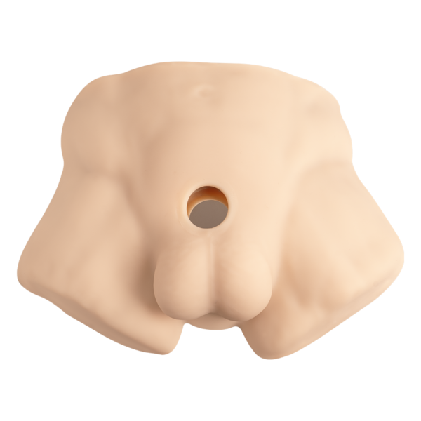 Torso Realista Con Dildo Intercambiable De Silicona Premium Caramelo