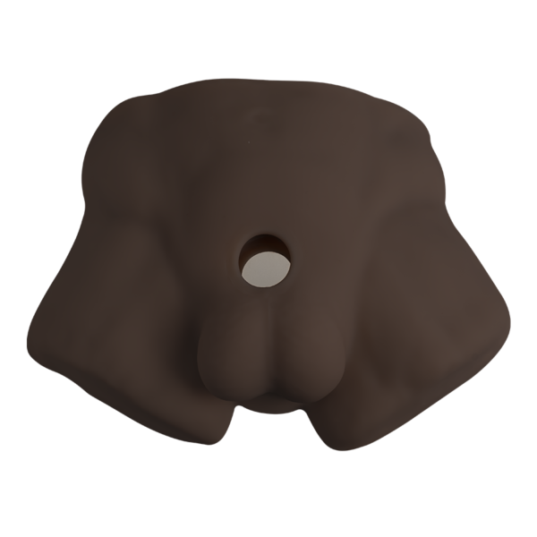Torso Realista Con Dildo Intercambiable De Silicona Premium Chocolate