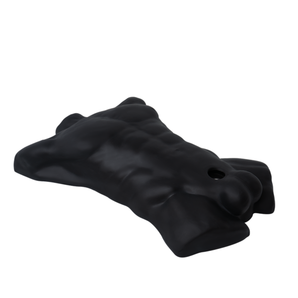 Torso Realista Dildo Intercambiable