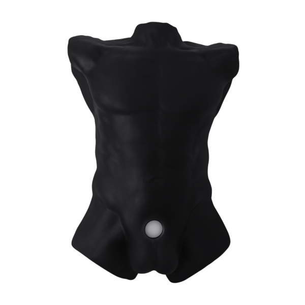 Torso Realista Dildo Intercambiable