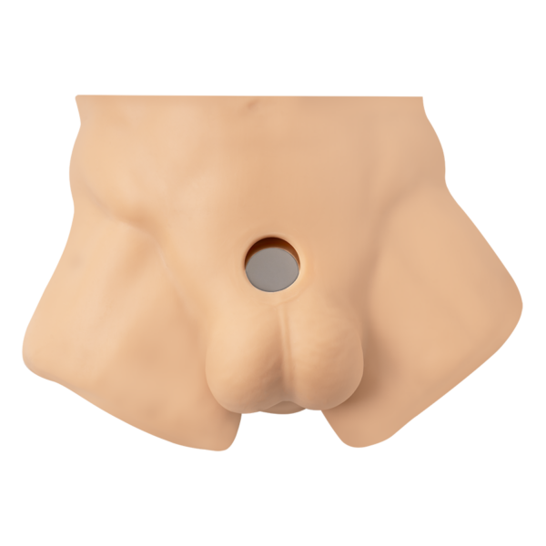 Torso Erótico Intercambiable
