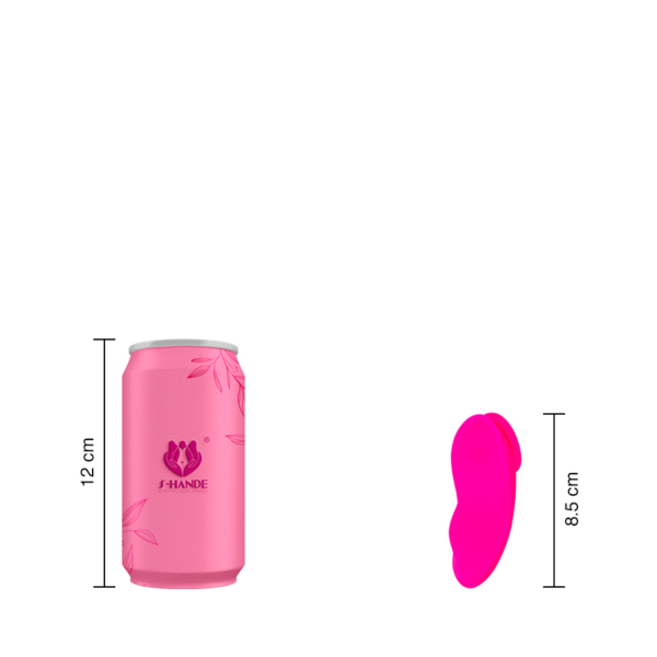 Vibrador Con Control Panty Magnético