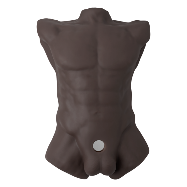 Torso Masculino Realista Con Dildo Intercambiable Silicona Premium