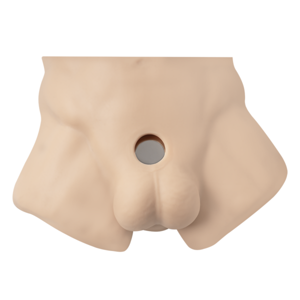 Torso Masculino Realista Con Dildo Intercambiable Silicona Premium