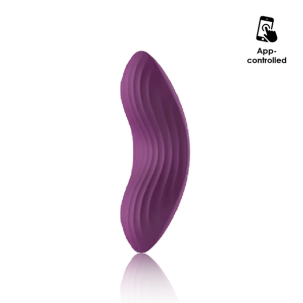Vibrador Con App Coqueteo En Panty