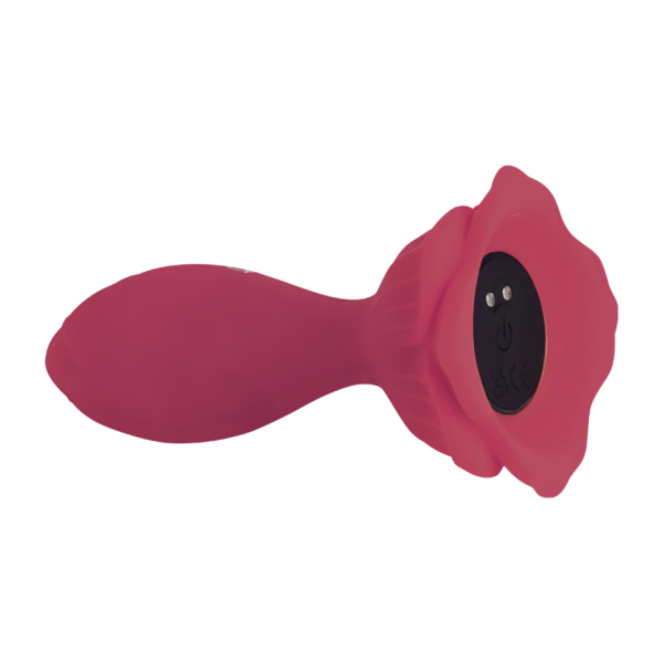 Vibrador Anal Rosa de Placer con App